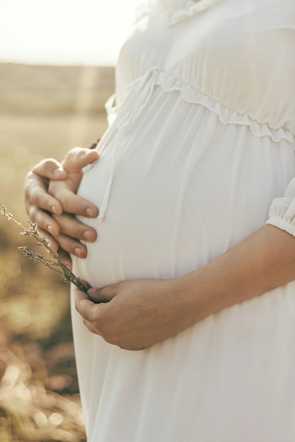 Frauenärztliche Praxis - Fachärztin für Frauenheilkunde und Geburtshilfe - Nahaufnahme einer schwangeren Frau in einem weißen Kleid mit getrockneten Blumen und den Händen eines Mannes, die sanft auf ihrem Babybauch ruhen
